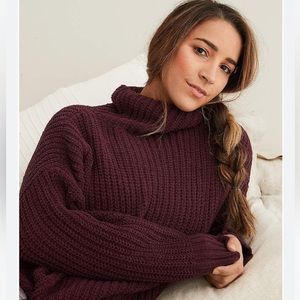 NWT Aerie Oversized Sweater